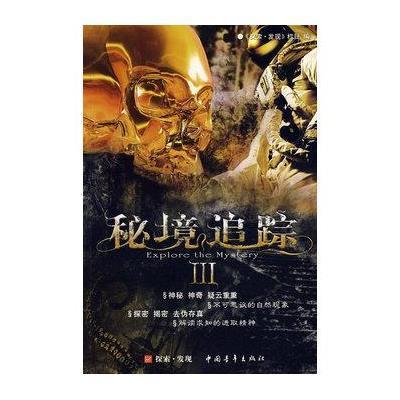 武斗纹章2初篇